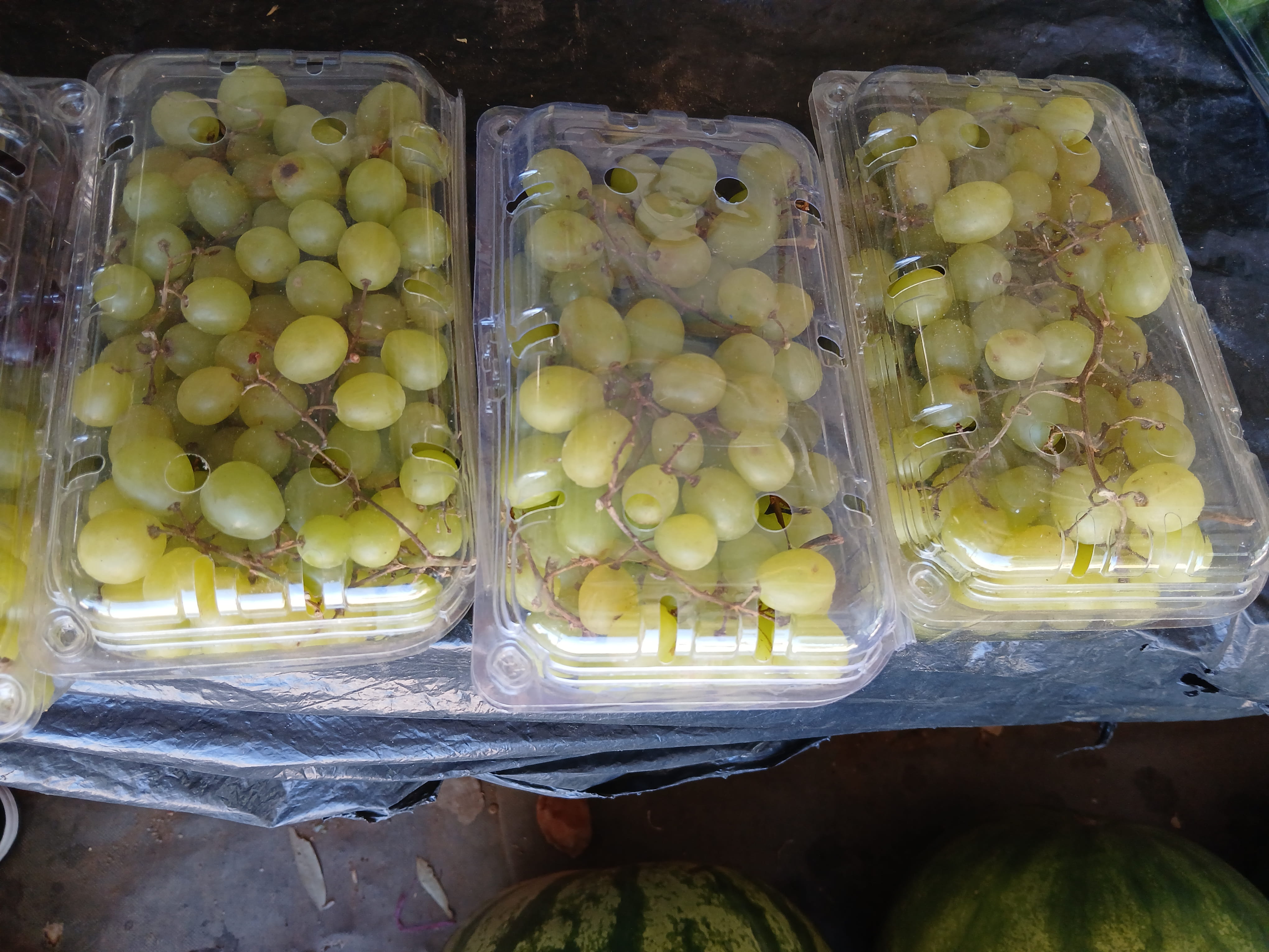 Grapes