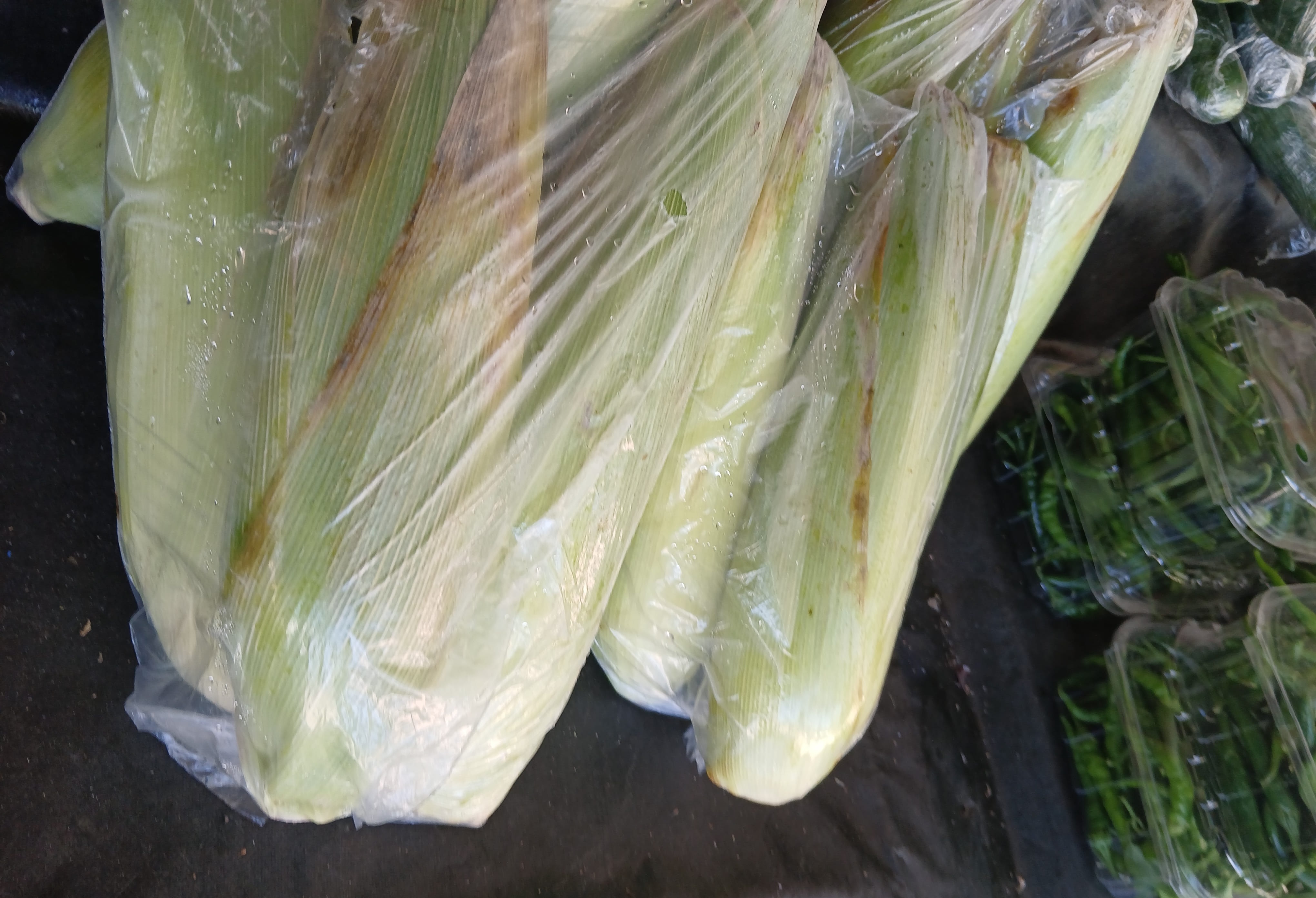 Corn