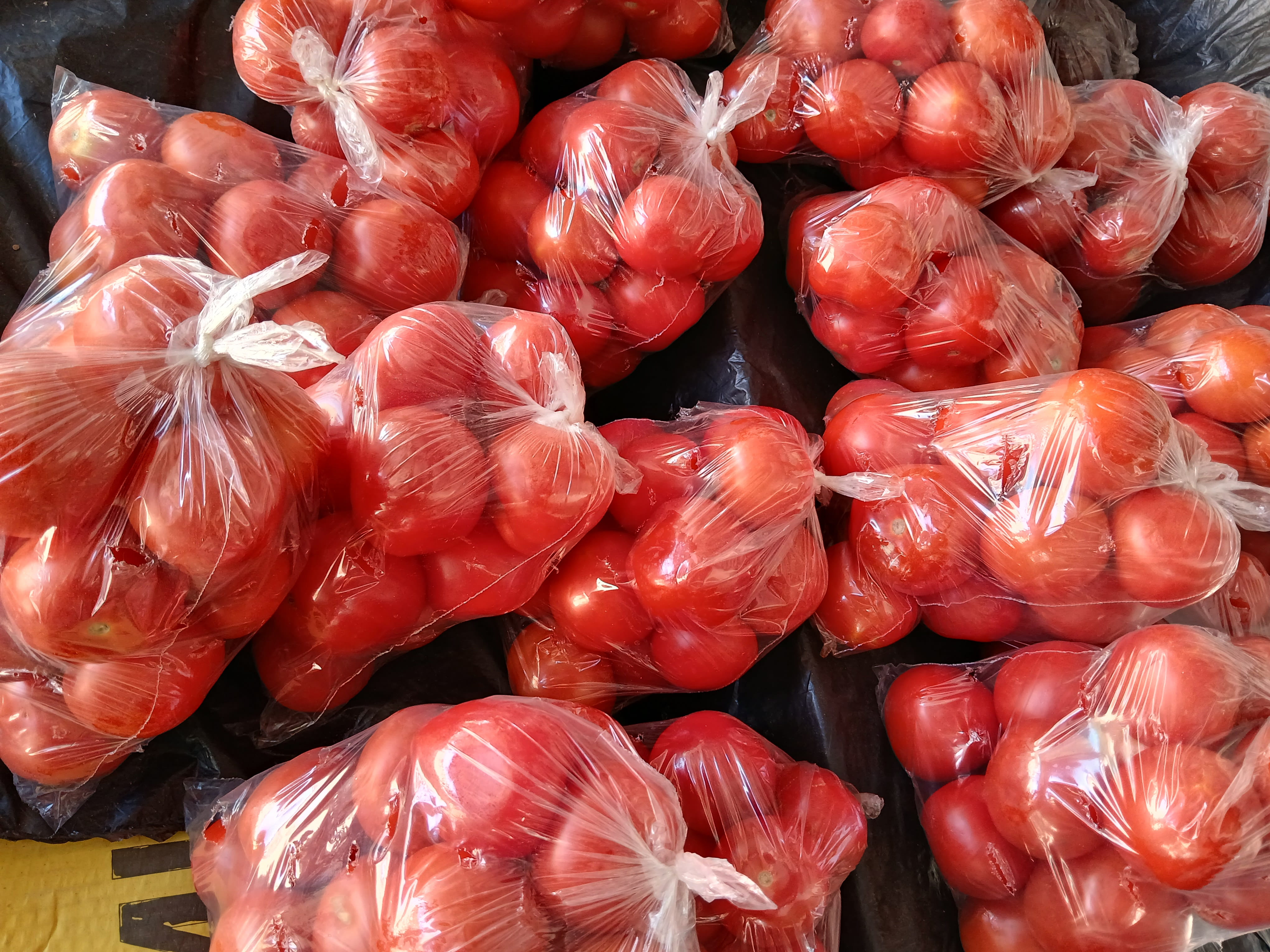 Tomatoes